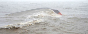 Fourteen Rescued as Cargo Ship Capsizes Off India