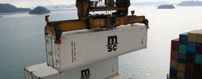 Survey Highlights Container Weighing Concerns