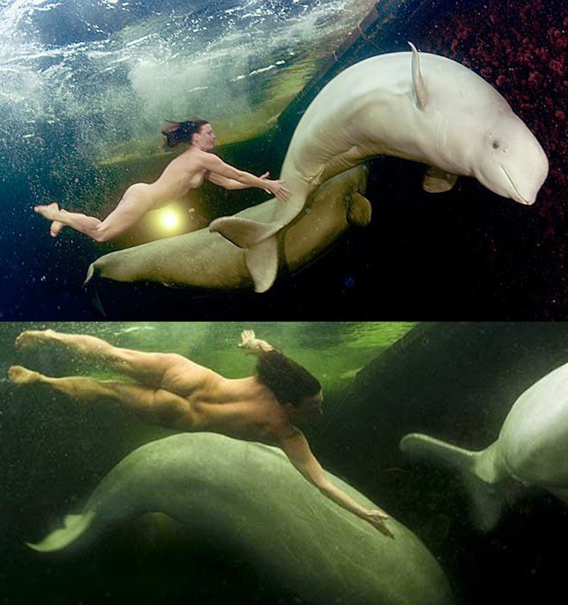 nude-whale-scientist-Natalia-Avseenko