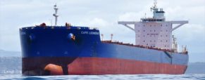 Capesize Bulk Carrier Breaks Down in Elbe River