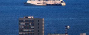 Port Tells Smelly Livestock Carrier to Stay Away