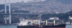 Bulk carrier runs aground on the Bosphorus Strait