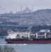 Bulk carrier runs aground on the Bosphorus Strait