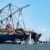 The Risk of Shipping Interconnectivity