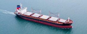 New Scandinavian dry bulk player launched