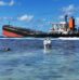 VLSFO Oil Spill Remnants Haunt Mauritius Mangroves Three Years Later