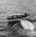 The Long, Strange Trip of the Titanic Victims Whose Remains Surfaced Hundreds of Miles Away, Weeks After the Ship Sank