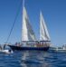 Nonprofit Ship Sets Sail for Gaza After Drone Attack