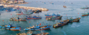 Eight missing following cargo ship and fishing vessel collision