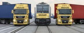 Swiss-based Medlog SA emerges as sole qualified bidder for 22-year Pangaon terminal deal