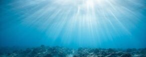 NorthStandard: Sewage discharge at sea