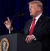 Trump Says Iran Strike Called Off After Gulf Allies Appealed