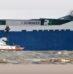 Fatal Pilot Transfer Accident Exposes Critical Safety Gaps in Maritime Operations