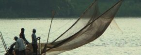 Experts concerned over depletion of marine fisheries stocks