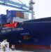 CMA CGM Transfers Two More Box Ships to Indian Registry