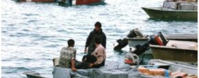 Iranian Trader Boats are Still Crossing the Strait of Hormuz