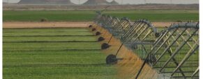 How UAE food supplies stayed moving during shipping disruption