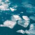 Lessons Learned: The effects of cold water shock on the body can result in drowning