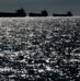 The Tanker Tycoon Making Millions on Hormuz Shuttle Runs