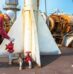 Survitec: Vessel detentions are a result of systemic management failures