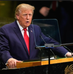 Trump Takes Aim at Shipping’s Net-Zero Plan at UN