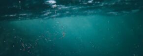 Do you know the different types of marine spills?