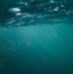 Do you know the different types of marine spills?